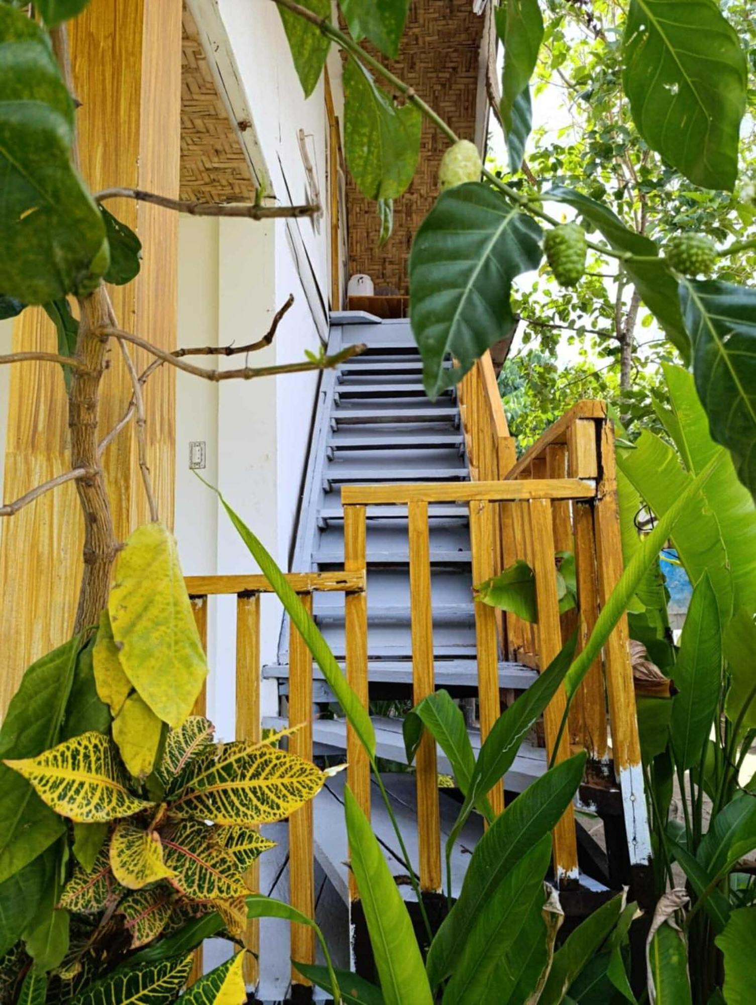 Helmina'S Villas General Luna  Ngoại thất bức ảnh